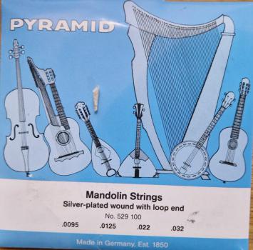 Pyramid 529 100 Mandolin String